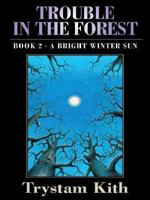 A Bright Winter Sun 1594142254 Book Cover