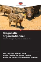 Diagnostic organisationnel (French Edition) 6208577934 Book Cover