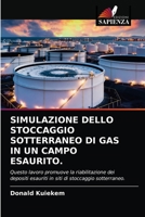 Simulazione Dello Stoccaggio Sotterraneo Di Gas in Un Campo Esaurito. 6203634182 Book Cover