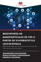 Biosynthèse de Nanoparticules de Fer À Partir de d'Hydrocotyle Leucocephala (French Edition) 6208034957 Book Cover