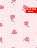 2020-2021 Planner: Pretty Jan 2020 - Dec 2021 2 Year Daily Weekly Monthly Calendar Planner with To Do List Schedule Agenda 1696077508 Book Cover