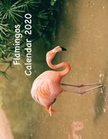 Flamingos Calendar 2020 1696763614 Book Cover
