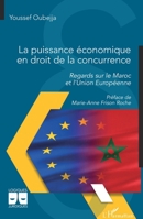 La puissance économique en droit de la concurrence: Regards sur le Maroc et l'Union Européenne (Logiques Juridiques) (French Edition) 2336466961 Book Cover