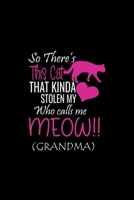 So There's This cat That Kinda Stolen My Who calls me Meow (Grandma): CAT Sketchbook, 6x9 inch with 100 pages, Personalized Artist Sketchbook, Sketching, Drawing and Creative Doodling. Notebook and Sk 1695430689 Book Cover