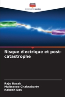 Risque électrique et post-catastrophe (French Edition) 6202779063 Book Cover