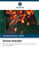Grüne Energie (German Edition) 6207958519 Book Cover