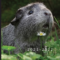 2021 - 2022: 18 Month Calendar | Monthly Photo Calendar | July 2021 - December 2022 | Monthly Calendar with U.S./UK/ Canadian/Christian/Jewish/Muslim Holidays | Cute Guinea Pig Calendar B09328MBQD Book Cover
