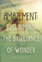 Amazement: Reclaiming the Brilliance of Wonder 1543903940 Book Cover