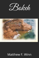 Bokeh 1735463620 Book Cover