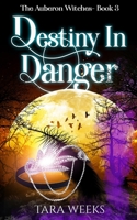 Destiny In Danger B08K3YHWQF Book Cover