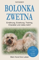 Bolonka Zwetna: Erziehung, Training und Charakter von Bolonka Zwetna B08NF1PH7N Book Cover