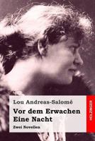 Vor dem Erwachen / Eine Nacht: Zwei Novellen 3743722860 Book Cover