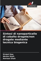 Sintesi di nanoparticelle di cobalto drogate/non drogate mediante tecnica biogenica (Italian Edition) 6208609666 Book Cover