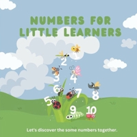 Numbers For Little Learners B0CP7WKMYP Book Cover