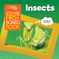 Insects 142633902X Book Cover