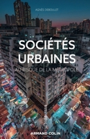 Sociétés urbaines: Au risque de la métropole 2200627343 Book Cover