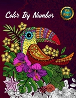 Color by Number: Stress and Anxiety Relief 60 Designs B0CPFTJP3D Book Cover