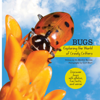 Bugs: Exploring the World of Crawly Critters 1486727026 Book Cover