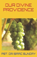 OUR DIVINE PROVIDENCE B0CTBMKTSJ Book Cover
