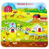 Discover & Learn 100 Words on the Farm 1680523694 Book Cover