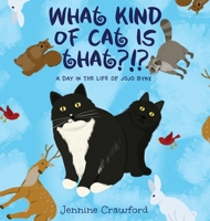 What Kind of Cat is That?!?: A Day in the Life of Jojo Bynx 1960142577 Book Cover