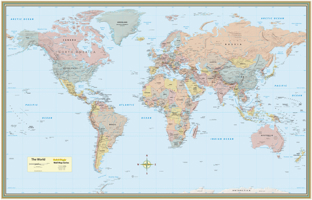 World Map Poster (32 X 50 Inches) - Laminated: A Quickstudy Reference Tool 1423251865 Book Cover