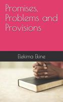 Promises, Problems and Provisions 1549599135 Book Cover