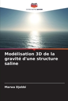 Modélisation 3D de la gravité d'une structure saline 620070824X Book Cover