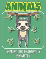 Animals Coloring And Drawing In Symmetry: Help Your Child Practice Geometry With This Amazing Animal, Insect, And Bird Collection/Activity Book For Kids K-4 B084DFYKZF Book Cover