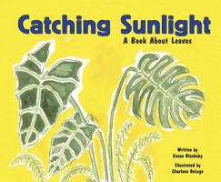 Catching Sunlight: A Book About Leaves 1404803874 Book Cover