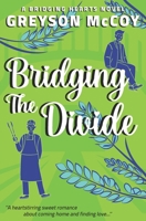 Bridging the Divide (Bridging Hearts) 1641089644 Book Cover