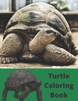 Turtle Coloring Book: Turtle Coloring Books are Perfect for all Animal Lovers, No Matter Your Age B09T8S1CGX Book Cover