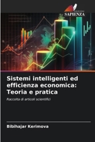 Sistemi intelligenti ed efficienza economica: Teoria e pratica 620963396X Book Cover