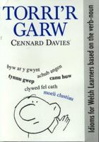 Torri'r garw: Idioms for Welsh learners based on the verb-noun (Welsh Edition) 185902372X Book Cover