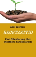 RECHTZEITIG (German Edition) 374970435X Book Cover