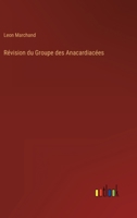 Révision du Groupe des Anacardiacées 3368202162 Book Cover