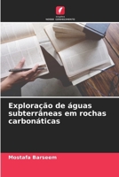 Exploração de águas subterrâneas em rochas carbonáticas 6209115748 Book Cover