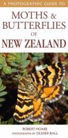A Photographic Guide to Moths & Butterfies of New Zealand 1776940032 Book Cover