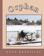 Orphan B0DQ3P98TJ Book Cover