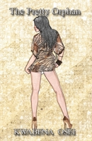 The Pretty Orphan 9082709813 Book Cover