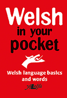 Welsh in Your Pocket 1847718779 Book Cover