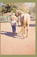 Riding Scared: A Spiritual Guide to Reconnecting with Yourself and Your Horse 1980884498 Book Cover