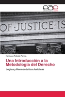 Una Introduccion a la Metodologia del Derecho 3659022845 Book Cover