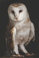 Notizbuch Eule: zum selbst eintragen für Schule, Hobby und Freizeit (German Edition) 1696075351 Book Cover