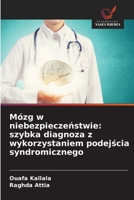 Mózg w niebezpieczenstwie: szybka diagnoza z wykorzystaniem podejscia syndromicznego 6209126480 Book Cover