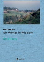Ein Winter in Wicklow: Erzählung 3347248406 Book Cover