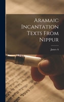 Aramaic Incantation Texts From Nippur 1165313766 Book Cover