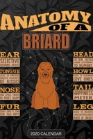 Anatomy Of A Briard: Briard 2020 Calendar - Customized Gift For Briard Dog Owner 1679692895 Book Cover