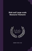 Risk and large-scale resource ventures 134191383X Book Cover