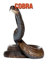 Cobra: Amazing Facts about Cobra B08KQV8L97 Book Cover